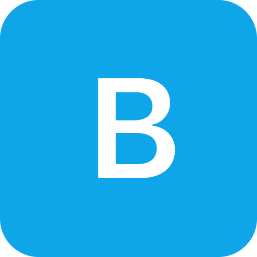 Bush Auto Group, Inc. logo